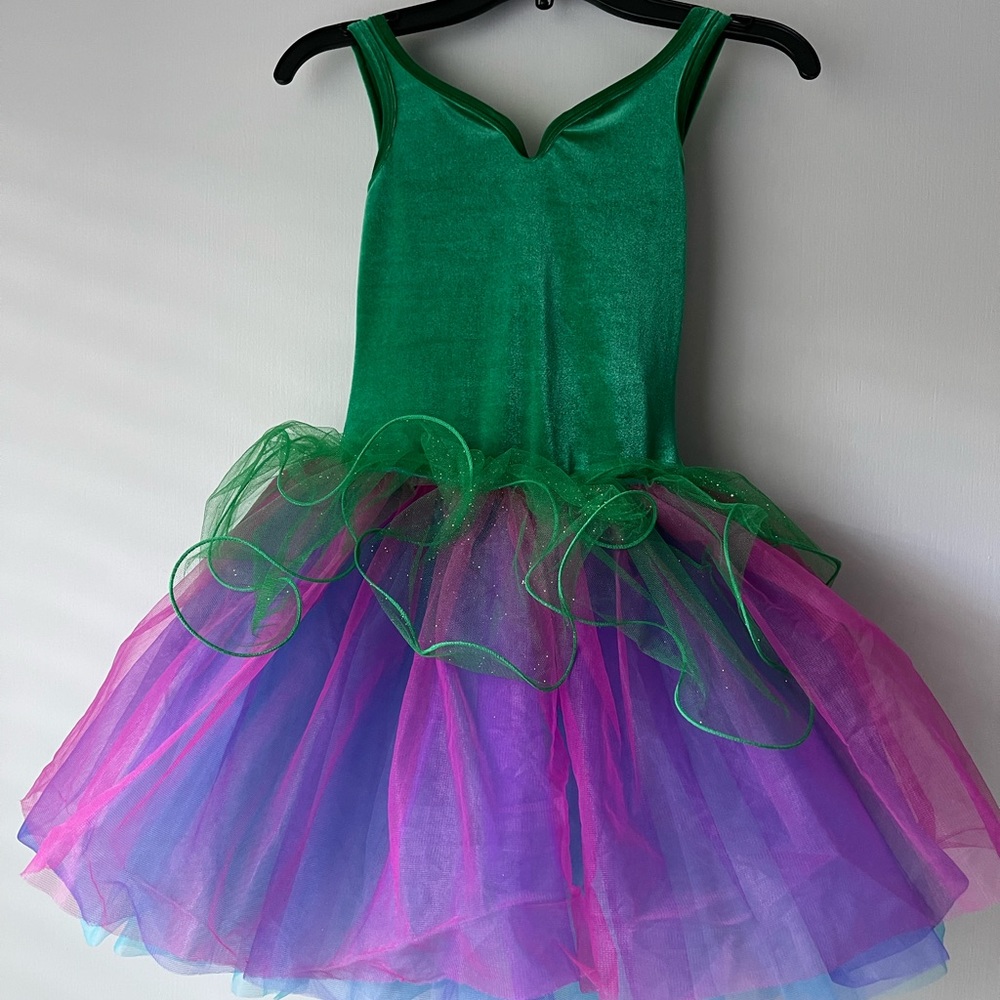 Flower / fairy dance costume, worn twice, like new
